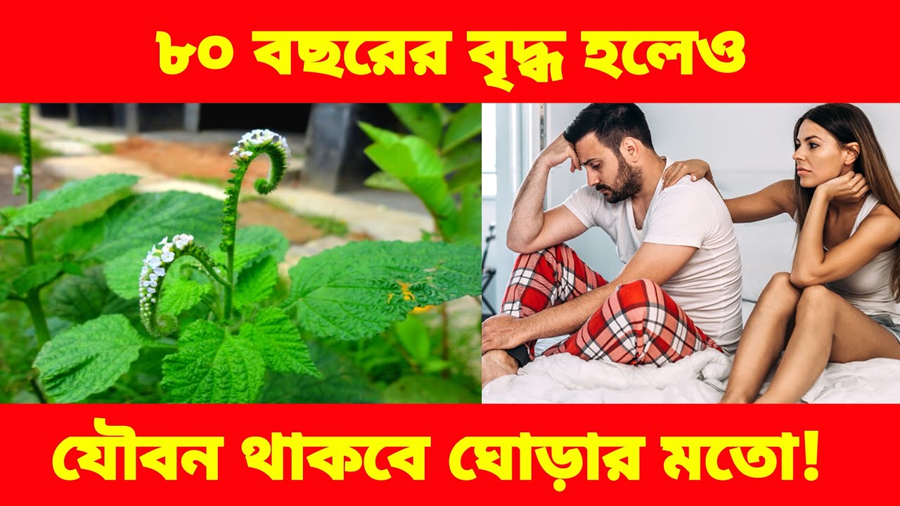 হাতিশুর গাছের আশ্চর্য ঔষধি গুণ | Achyranthes Aspera Health Benefits | Natural Herbal Remedy
