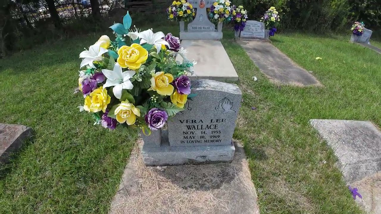 Davenport Cemetery (Shubuta, Mississippi)