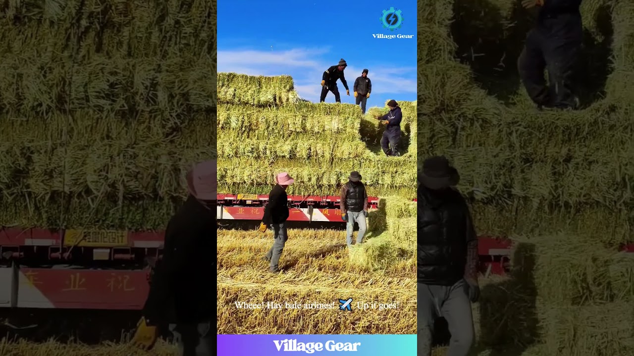 This Hay Bale Tossing is an Olympic Sport! 🥇 Farm Strong! #hayday #farminglife #strengthtraining