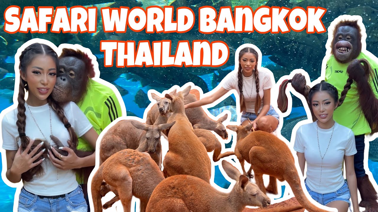 Funny monkey & Thai girl vlog at Safari World Bangkok Thailand