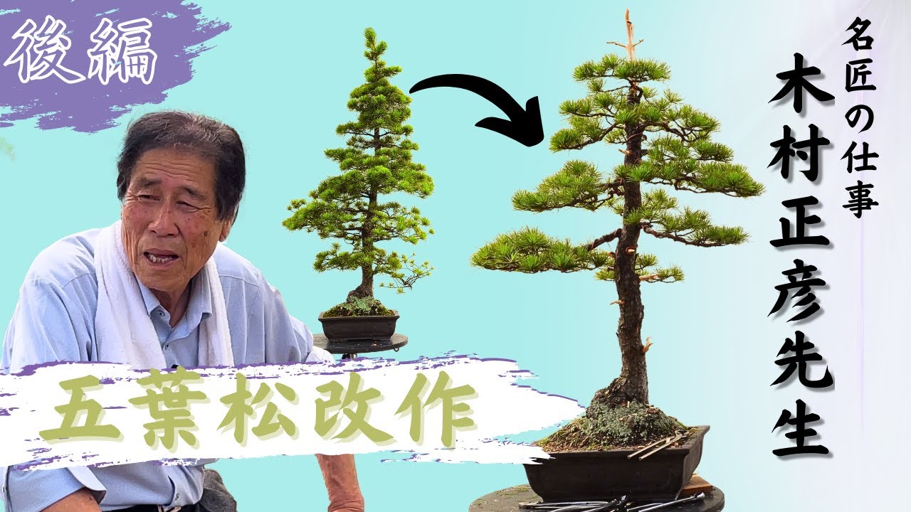 【後編】名匠の仕事～木村正彦先生盆栽改作～