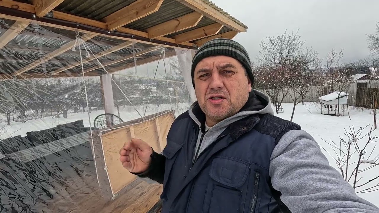 ✅ Пчело-пакет по 1000гр, семьи пчел по 2000гр. Распродажа! #пчеловодство1