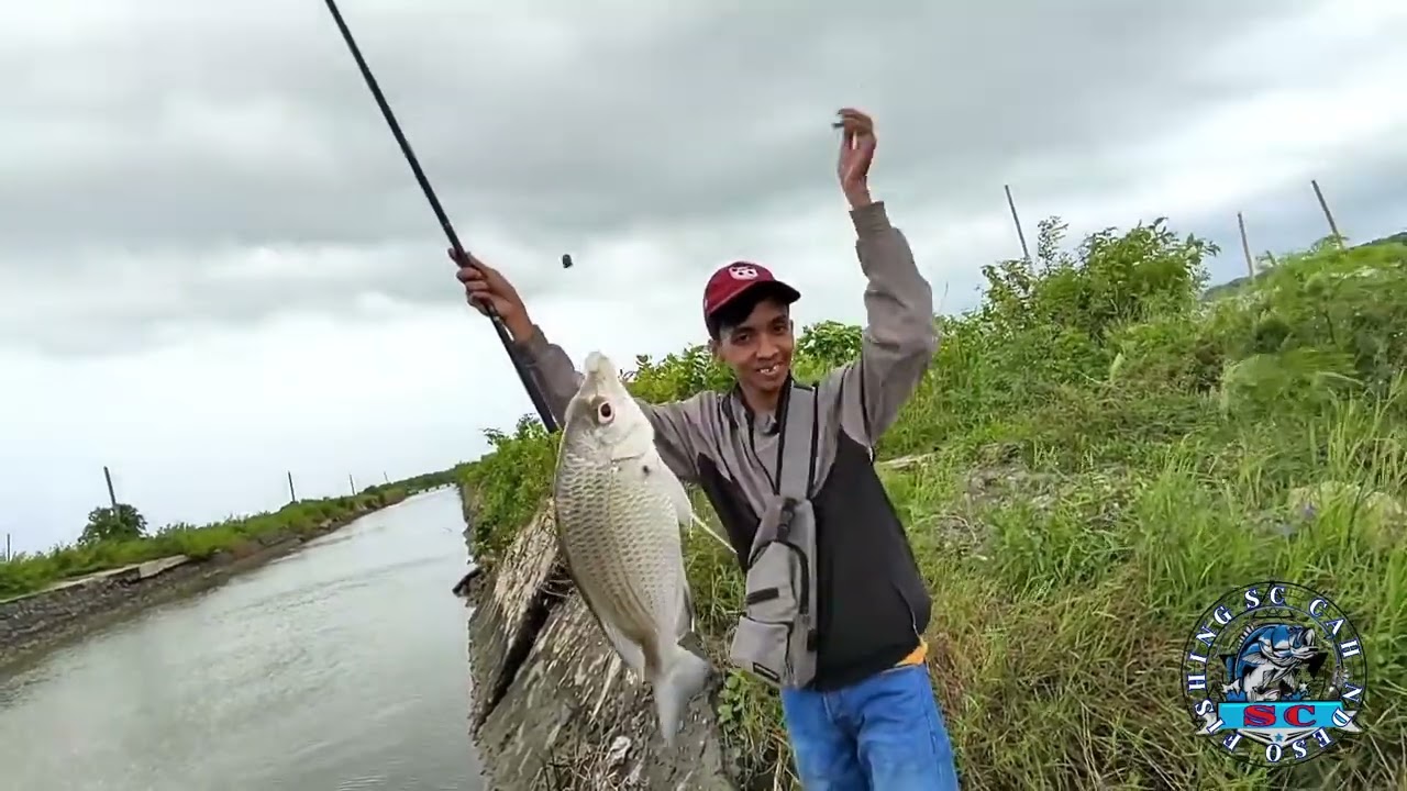 joran oregon ku di hajar ikan patik babon sampe melengkung tajam sepot lds