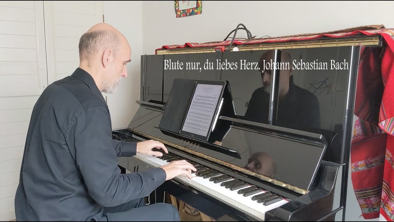 Blute nur, du liebes Herz - Bach - karaoke - accompaniment