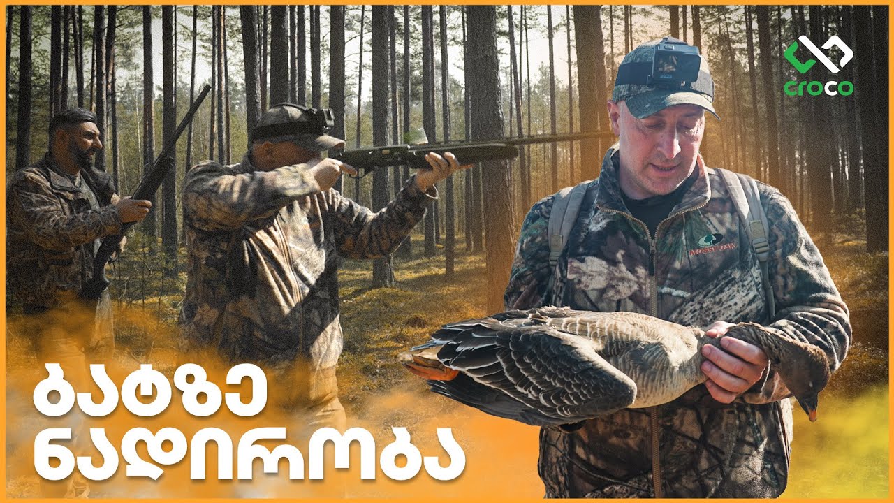 ბატზე საგაზაფხულო ნადირობა ბელორუსში