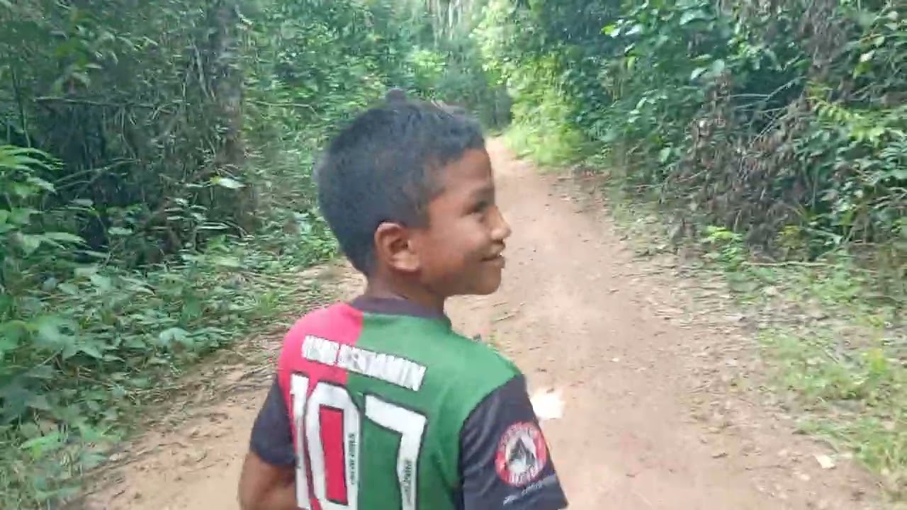 Caminhando com José Nogueira 