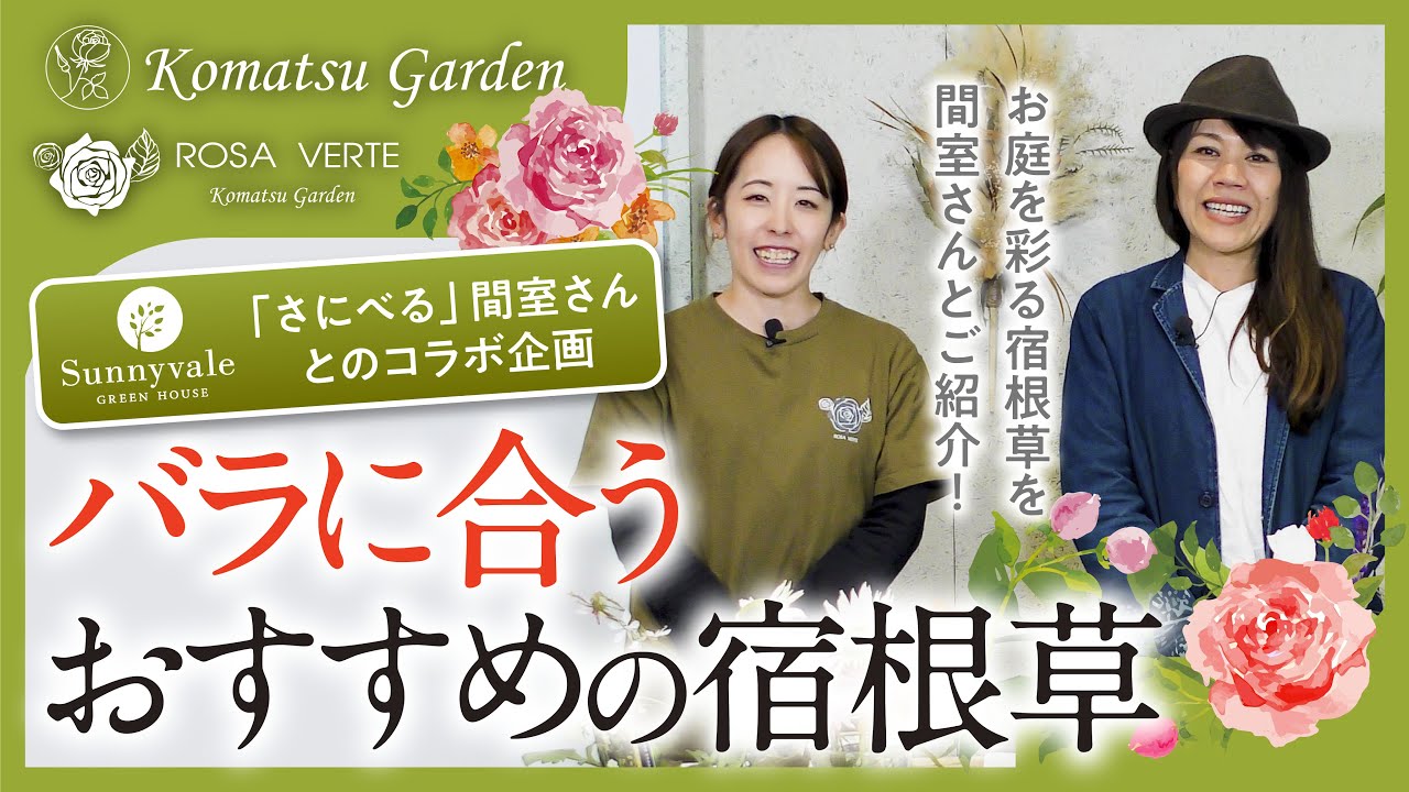 バラに合うおすすめの宿根草【間室みどり先生とコラボ】