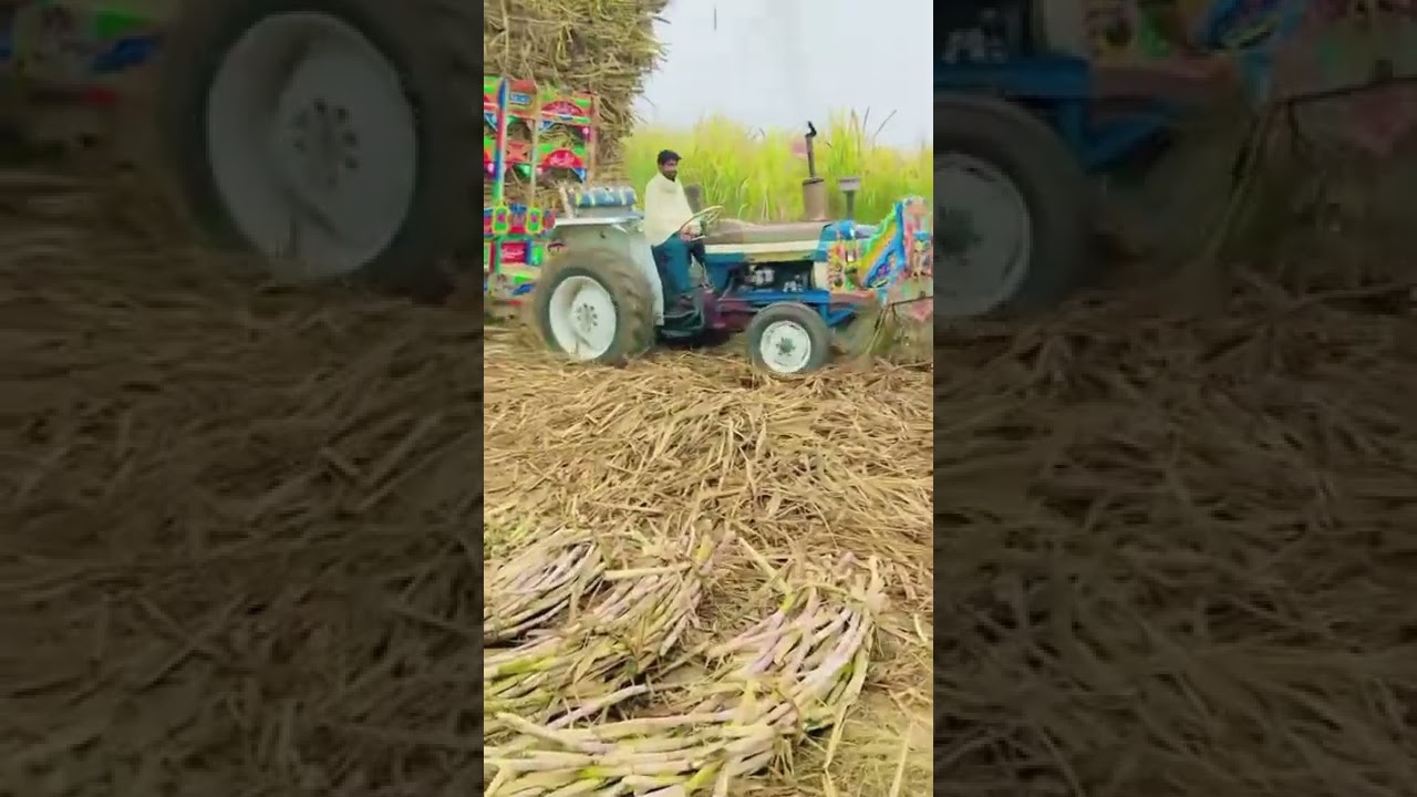 NH Dabung and ford power show🚜