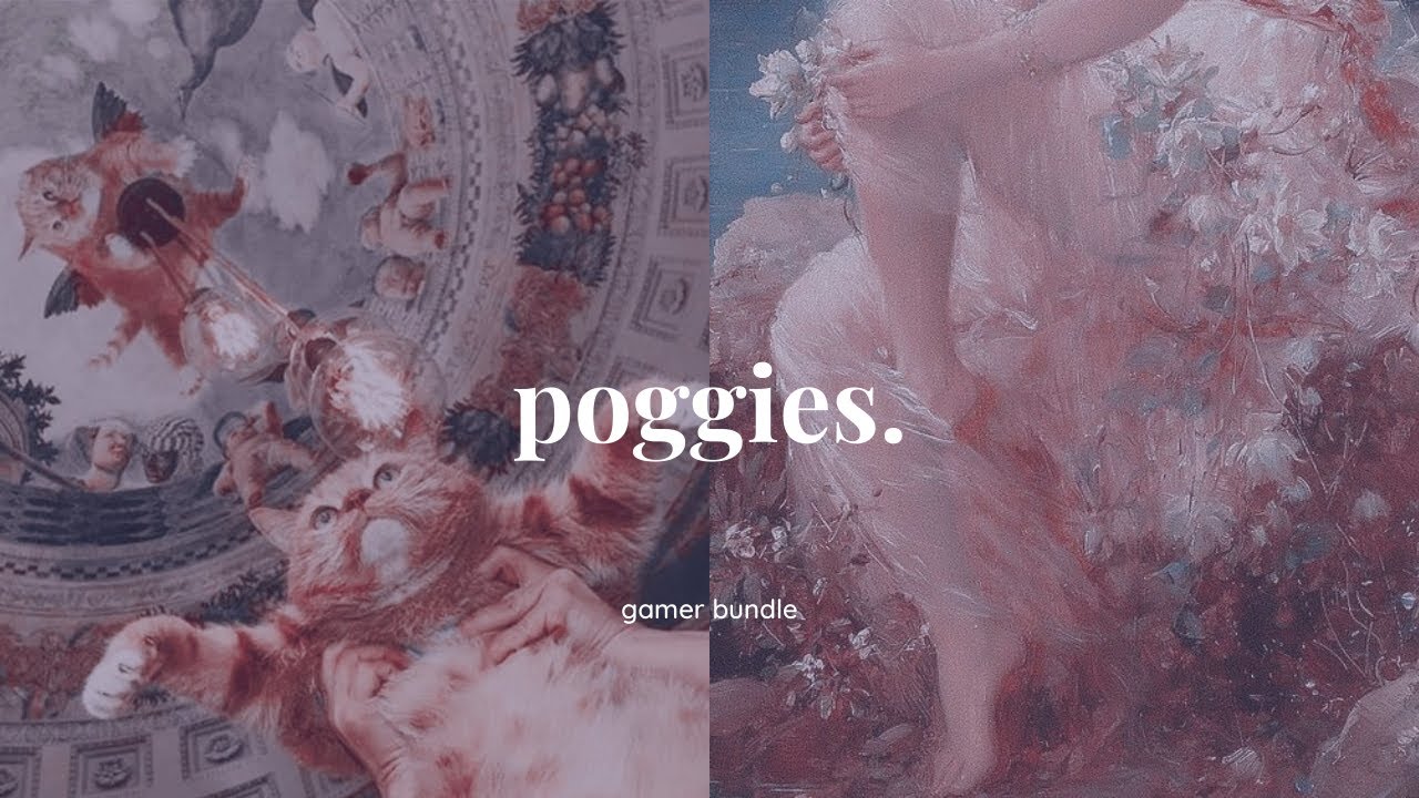࿐ ࿔*:･ﾟ𝐏𝐎𝐆𝐆𝐈𝐄𝐒 . . . ultimate gamer bundle *tried and tested*♡