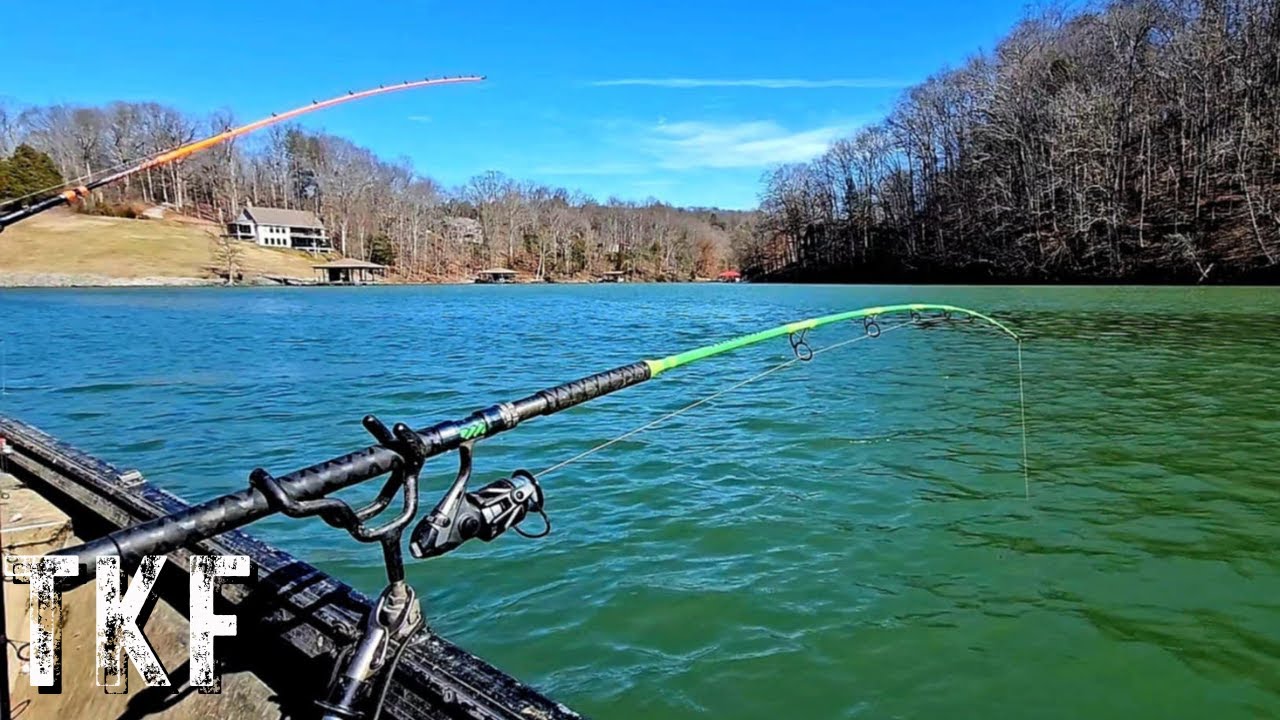 Chasing HUGE Catfish and Striped Bass In TINY BOAT!