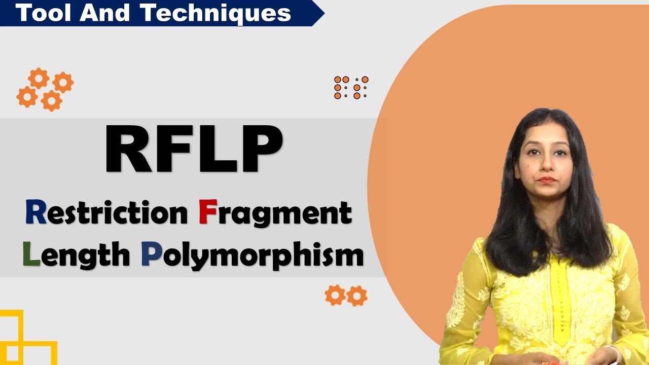 RFLP I Restriction Fragment Length Polymorphism I Tool & Technique I