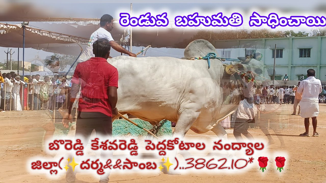 🦁ఐజ,సీనియర్ విభాగం  6వా జాత బో రెడ్డి కేశవరెడ్డి పెద్ద కొట్టాల