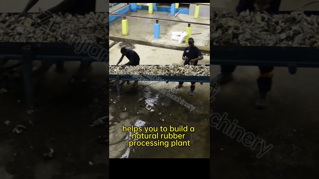 natural rubber processing equipment