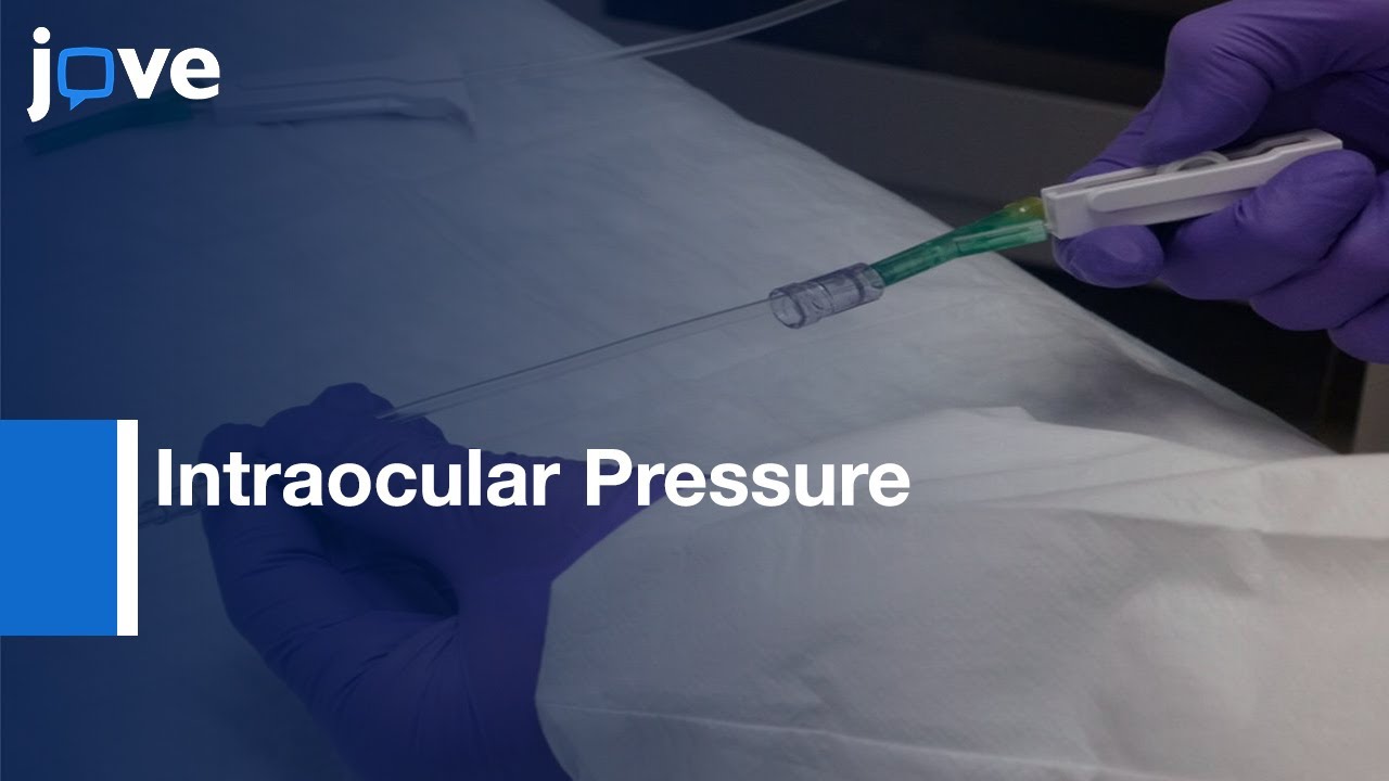 Retinal Ischemia-Reperfusion Injury Model by Intraocular Pressure | Protocol Preview