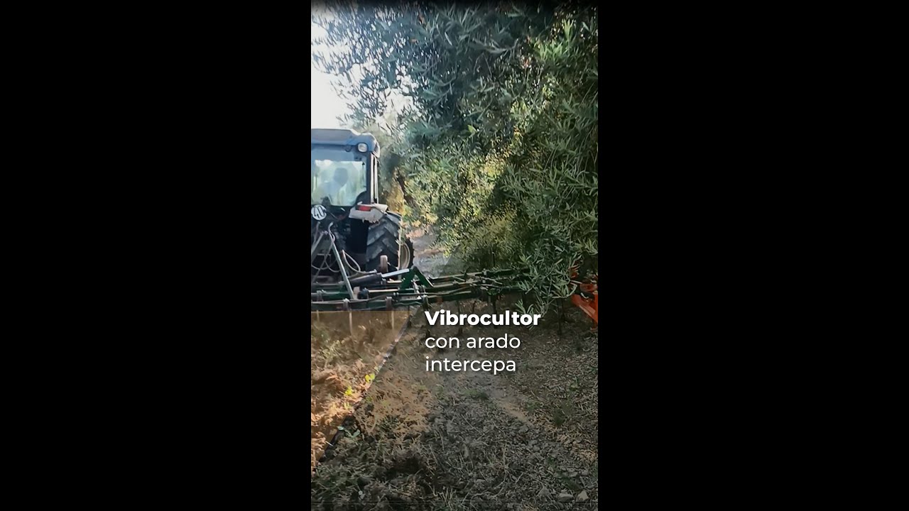 VIBROCULTOR CON ARADO INTERCEPA