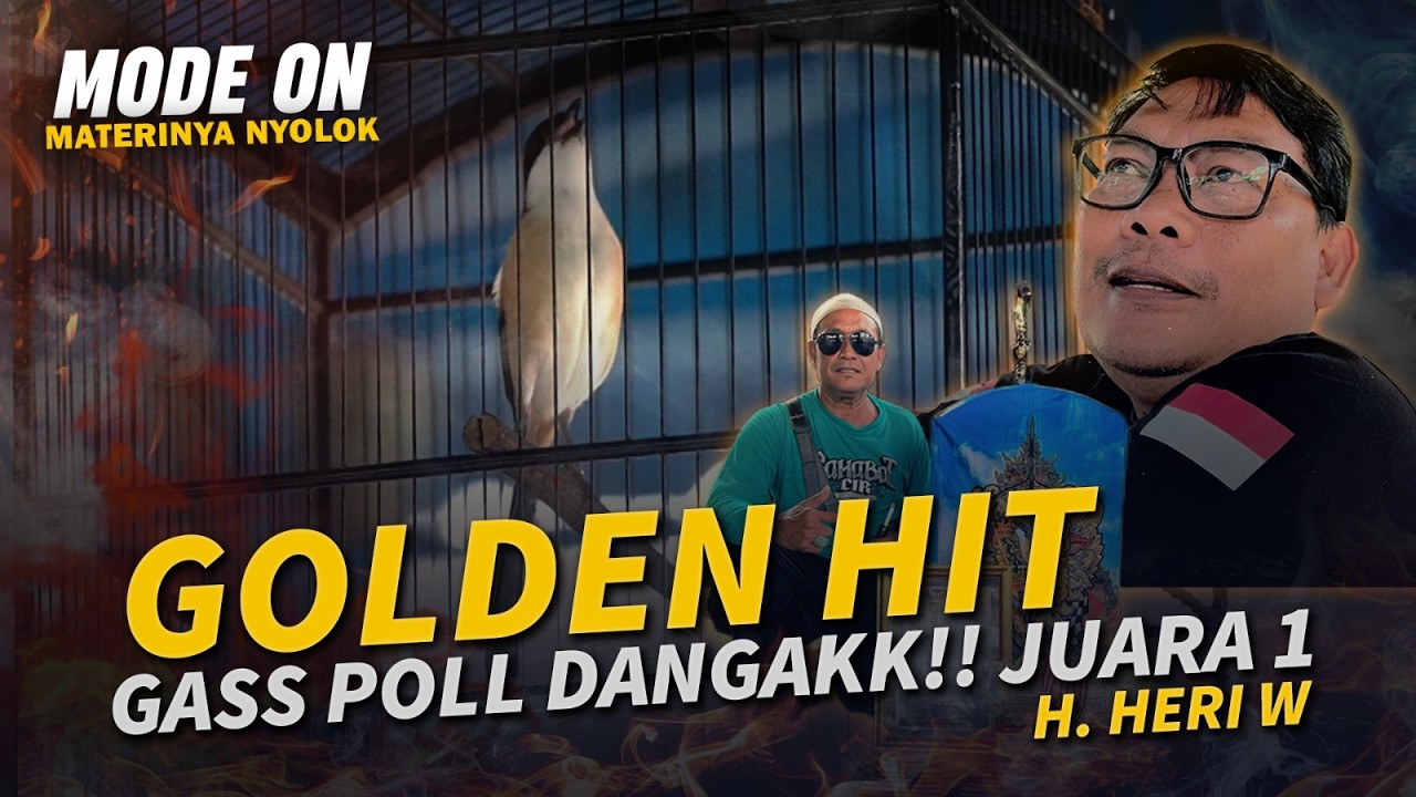 Gass Poll Dangak!! Cendet GOLDEN HIT Juara 1 Kelas Pembuka - Lawan Tangguh!!