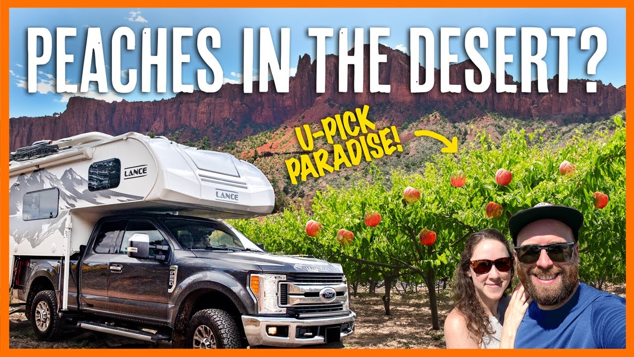 Picking Desert Peaches in Colorado in Our Lance 825 Truck Camper | Palisade