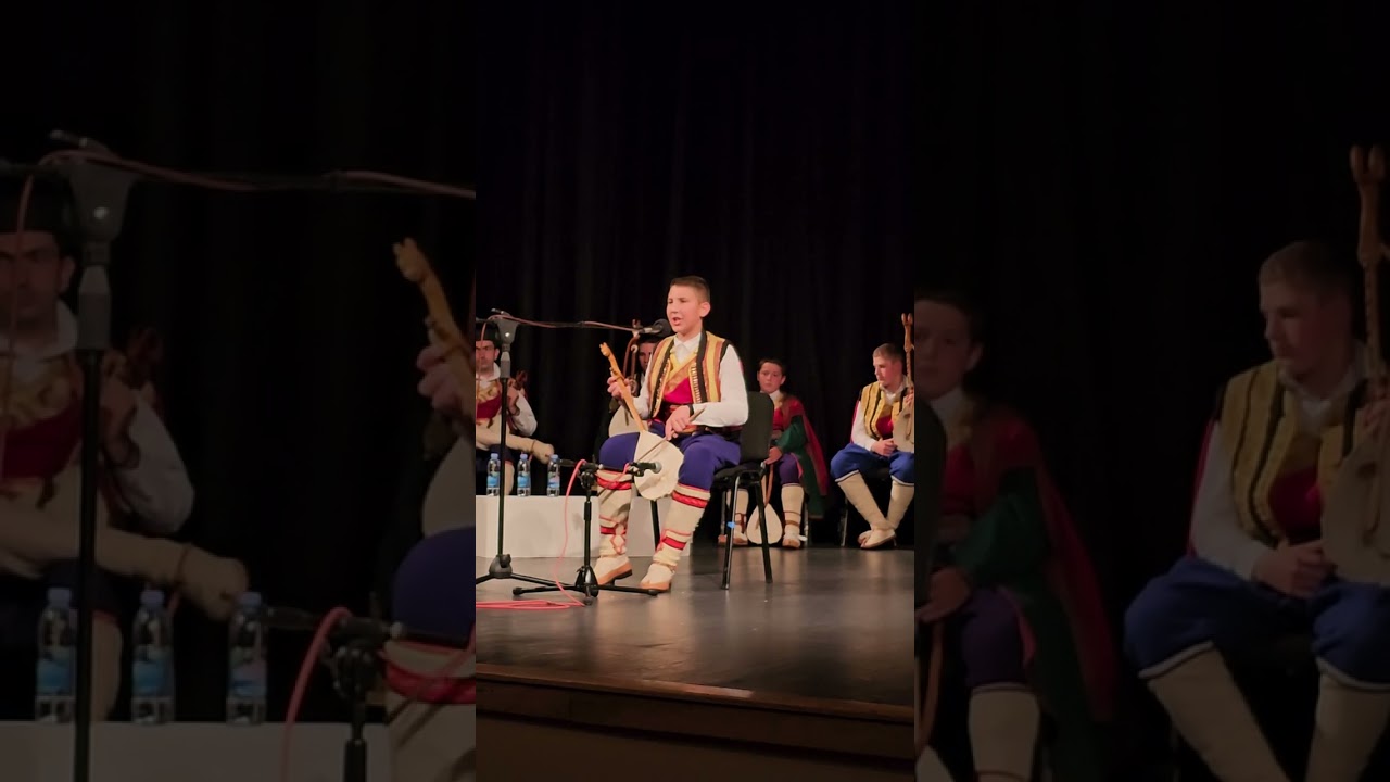 ДАМЈАН ВОЈВОДИЋ                     Низ Херцеговину