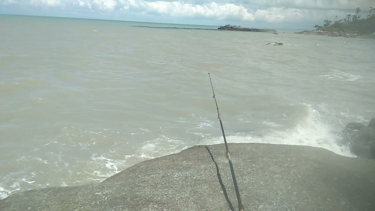 rock fishing, di tarik ikan monster