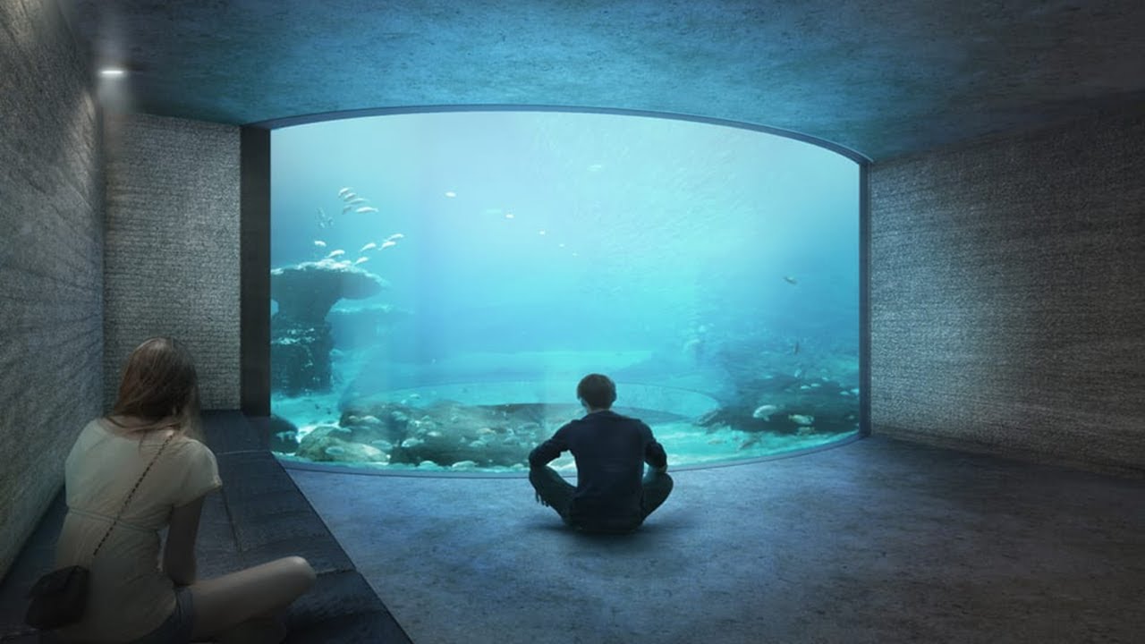 Why every aquarium is trying to solve this problem...