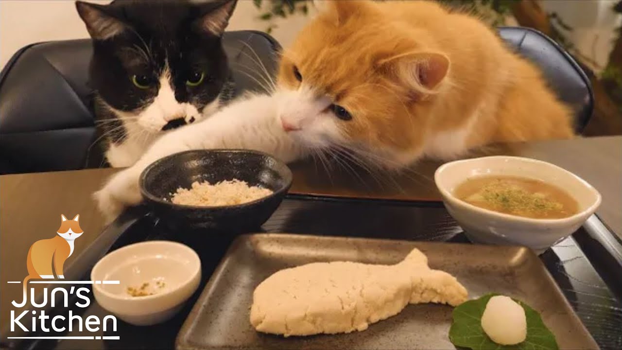 Японская еда для кошек