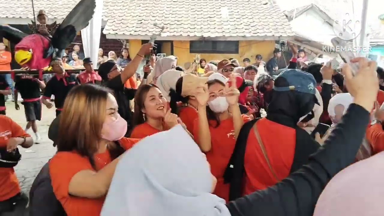 Cuta muda versi dangdutan 
