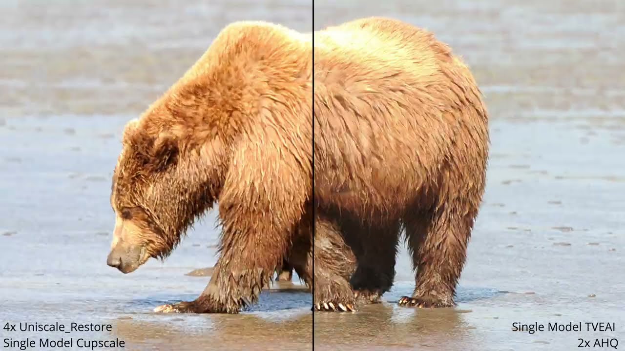 Mamma Bear Upscaling Comparison