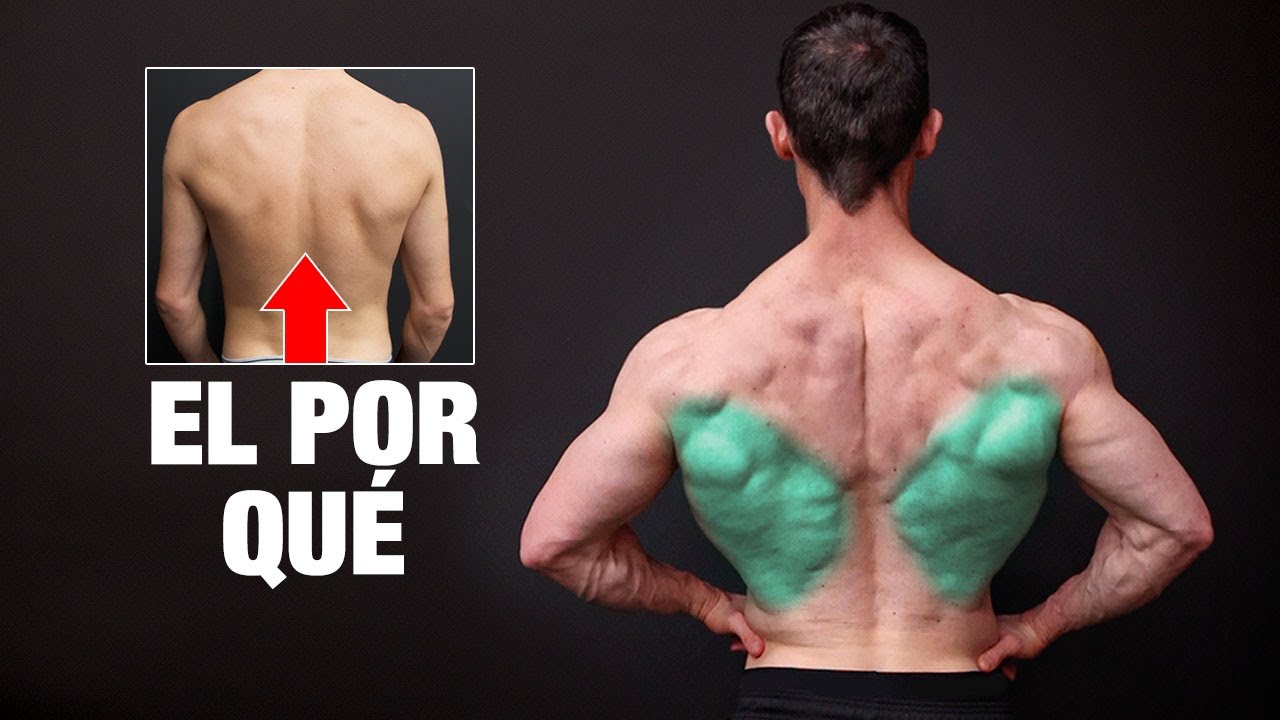 ¡La VERDADERA RAZON Por La Que tus Dorsales No Crecen!