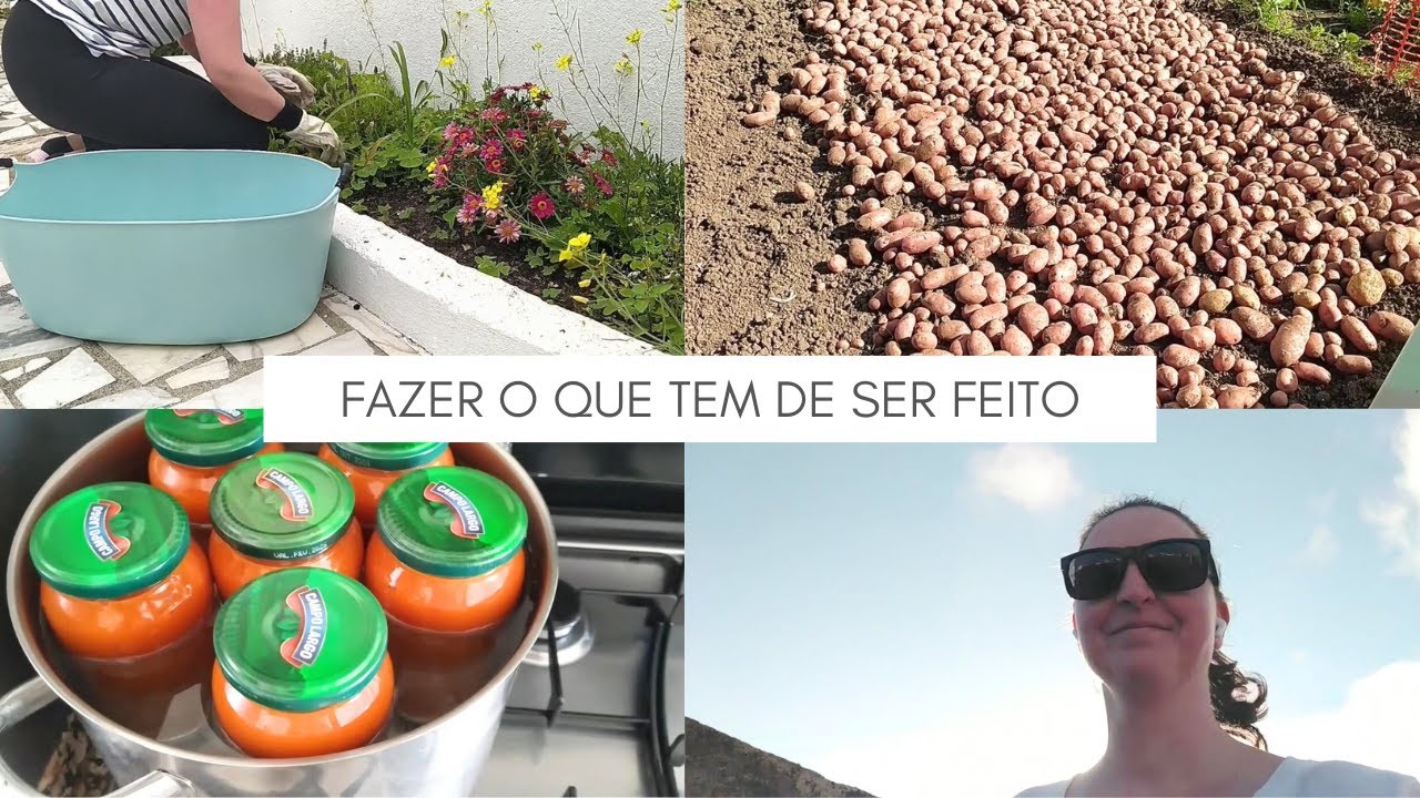 Não estava à espera disto! Colheita na horta, conservas, tour real do jardim #vidareal#rotinadodia