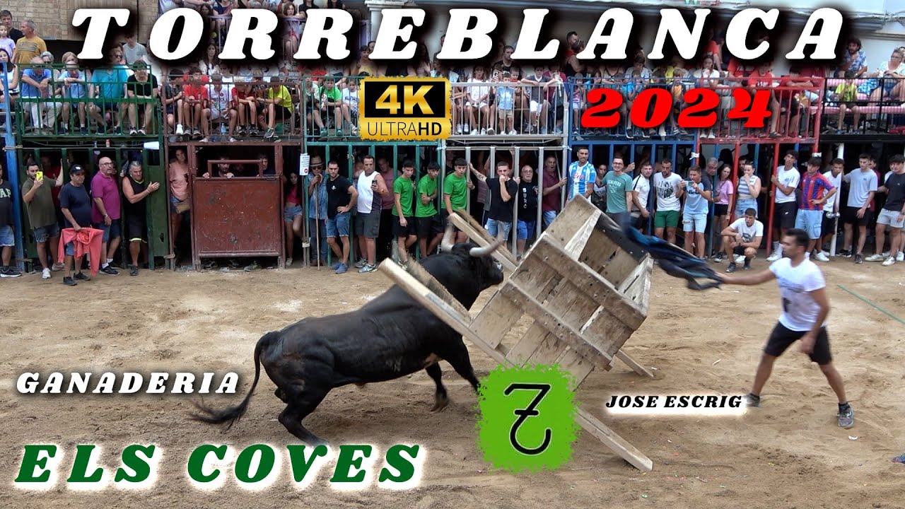 ✅📽️4K CONCURSO DE GANADERIAS TORREBLANCA 2024