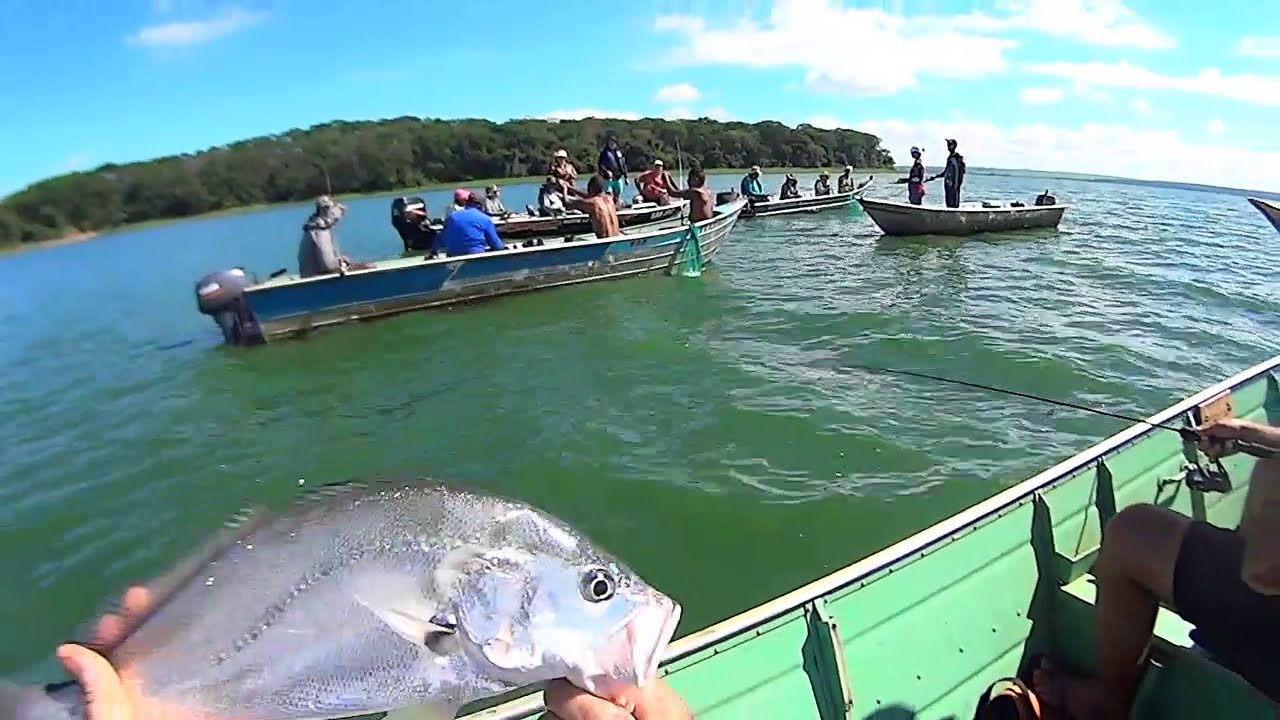 só fisgada violenta  pescaria!!!de corvina