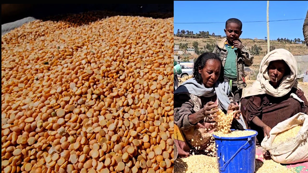ኣብ ወረዳ እንደርታ (ኣራጉረ) ንዝተፀገመ ህዝብና ዝተገበረ ሓገዝ እኽሊ - ካብ ተጋሩ ሎስኣንጀለስ