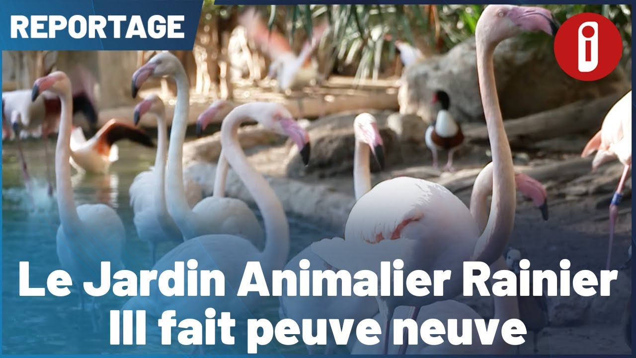 Le Jardin Animalier Rainier III fait peau neuve