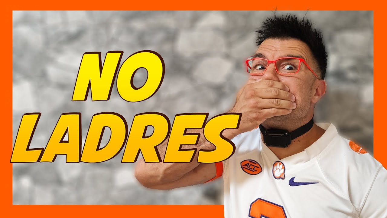 Collar ANTILADRIDOS para Perros ⚡🤔 | Adiestramiento Canino 🐶