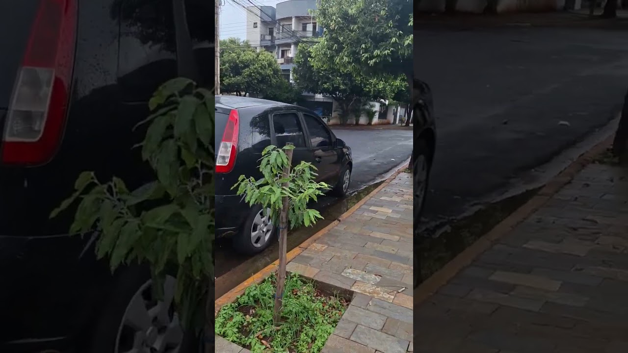 JARDIM ANA MARIA EM RIBEIRÃO PRETO.