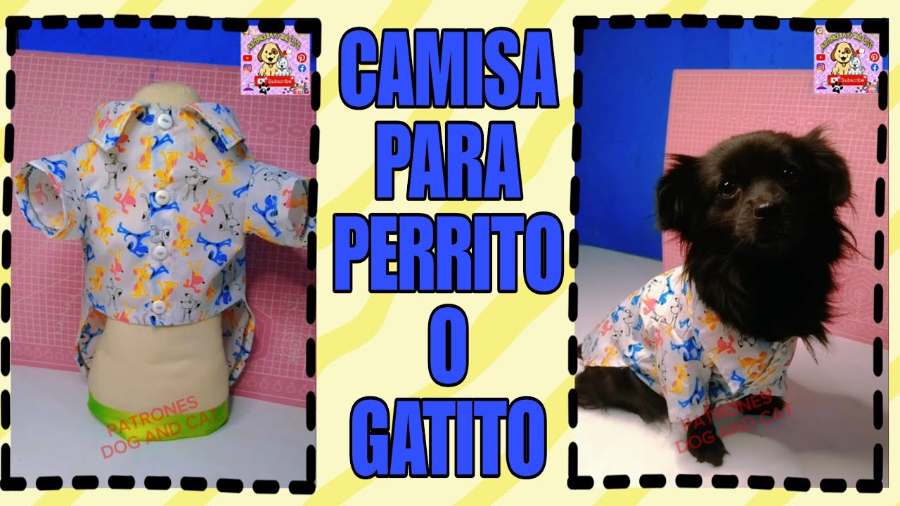 CAMISA PARA PERRITO  - ROPA PARA PERRO