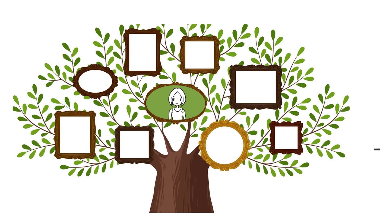 Genetic Counseling at the Swedish Cancer Institute