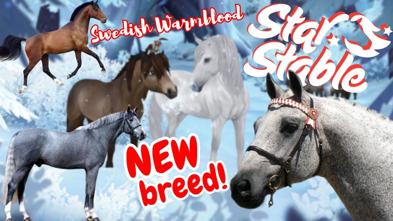 NEW SSO breed coming soon! Swedish Warmblood Horse in Star Stable