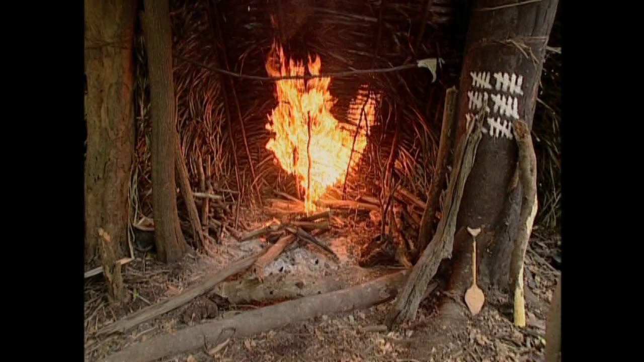 Survivor Amazon Shelter burned down!