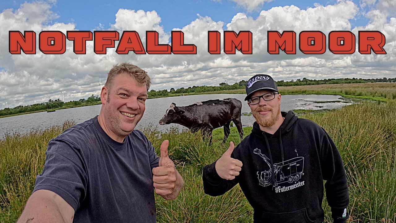 Farm-Vlog #25 Rettungsaktion im Moor und die schlechteste Landstraße in S-H