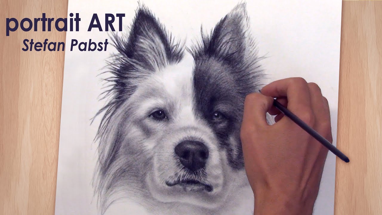 Malen eines Hundeportraits nach Foto/ Portraitzeichnung