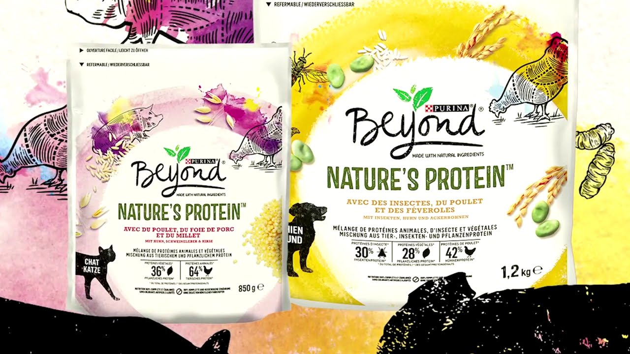 Why Nestle is putting insects in pet food