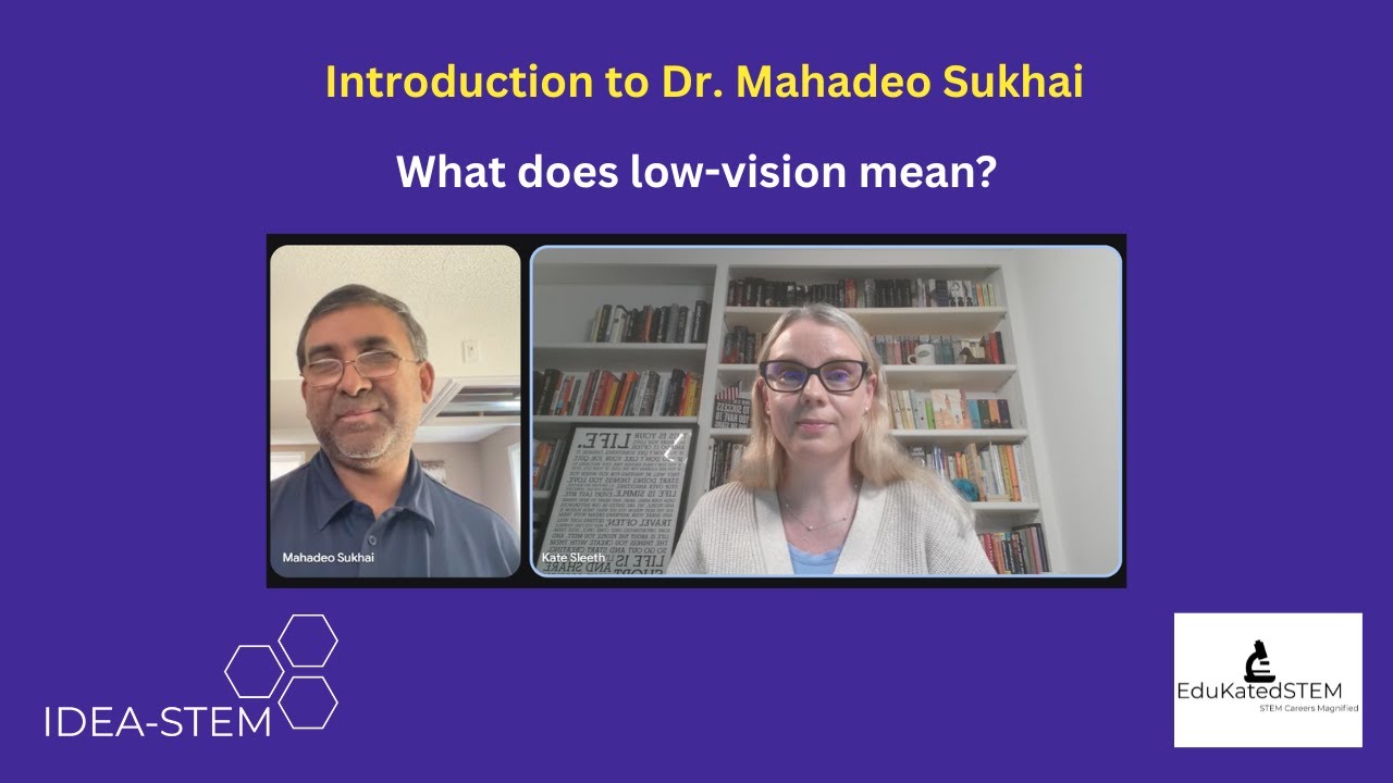 What is LOW VISION Really?
