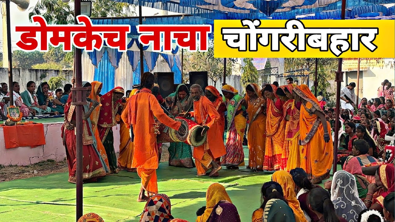 डोमकेच नाचा चोंगरीबहार ❣️कंवर समाज सम्मेलन बगिया 2025//आदिवासी नाचा