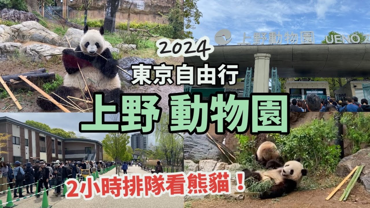 東京自由行 2024 EP14 | 上野動物園，2小時排隊看熊貓？好多人！園內有咩動物睇？| 長頸鹿、馬、大象、北極熊⋯ | Ueno zoo | 必去景點 | 4月日本遊Vlog
