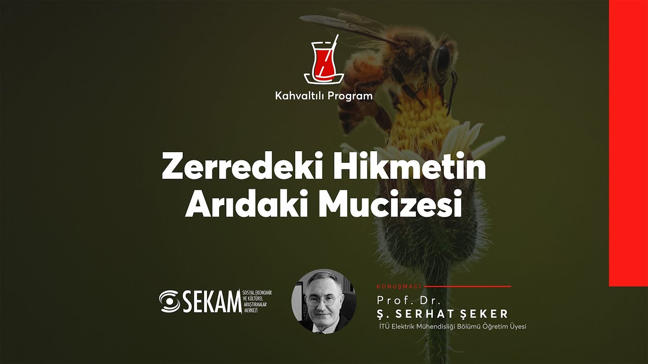 Zerredeki Hikmetin Arıdaki Mucizesi | Prof. Dr. Ş. Serhat Şeker