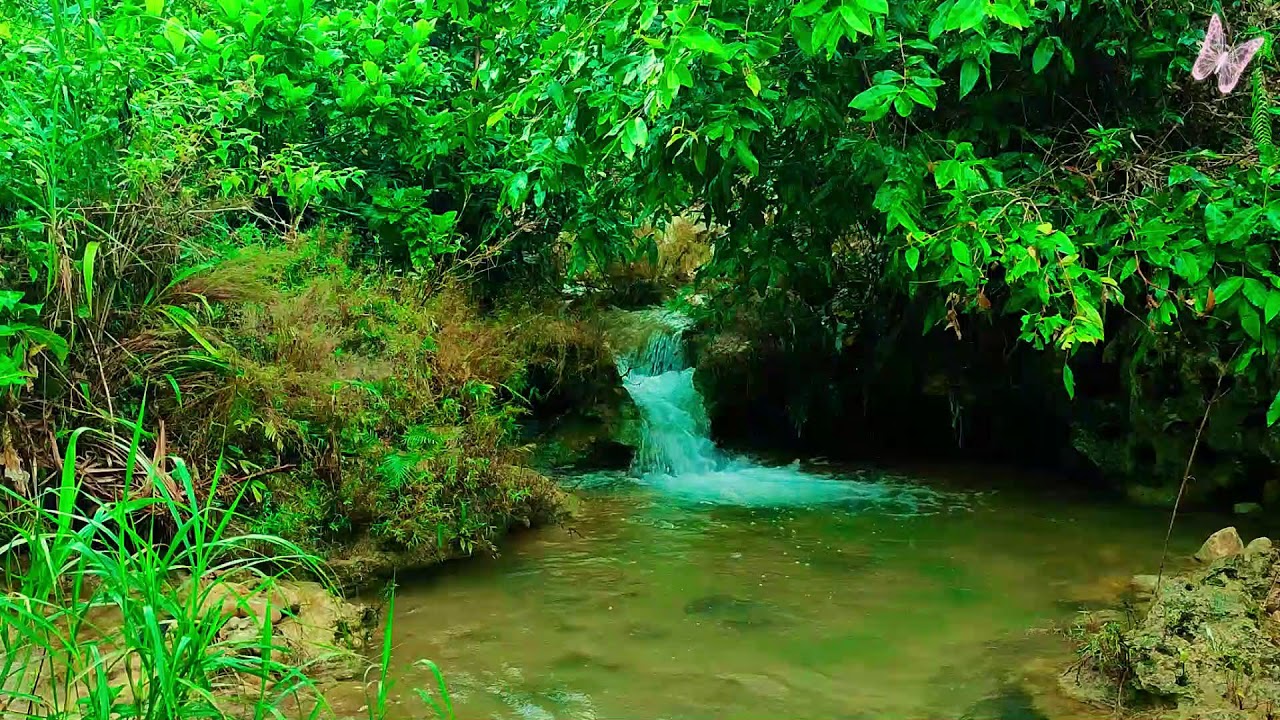 Calming Music for Anxiety and Stress 🌿 Sleep Better, Heal Mind, Relaxing Meditation Sounds 5