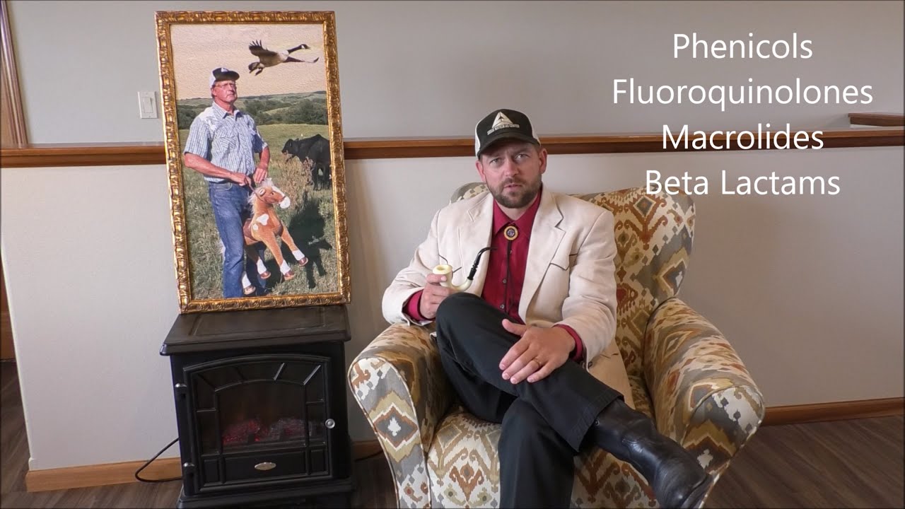 What Drug Should I Use to Treat Pneumonia in Calves?