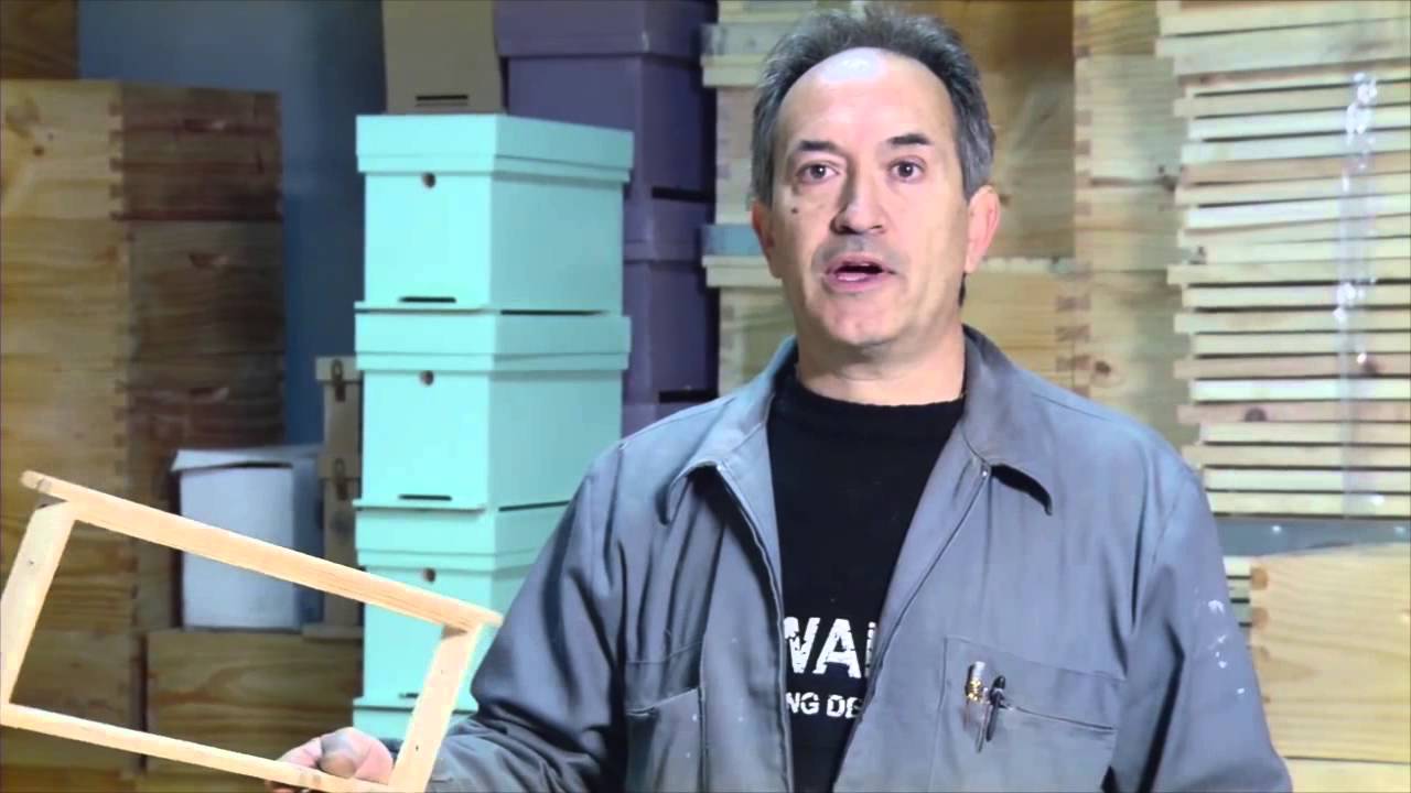 Dispositivo anti-robo de colmenas - Centinela