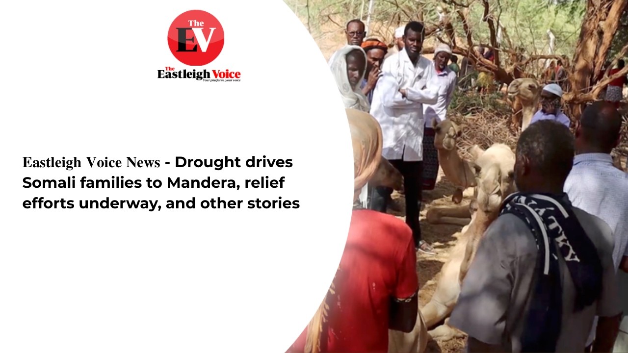 𝐄𝐚𝐬𝐭𝐥𝐞𝐢𝐠𝐡 𝐕𝐨𝐢𝐜𝐞 𝐍𝐞𝐰𝐬 - Drought drives Somali families to Mandera, relief efforts underway